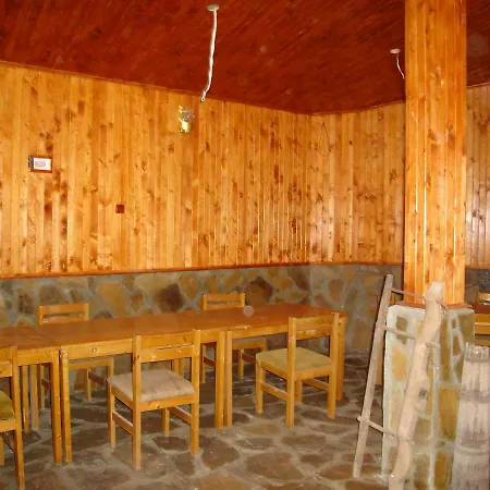 галина палас *